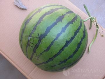 6_60783_8c0f5208bcb24d6.jpg?21