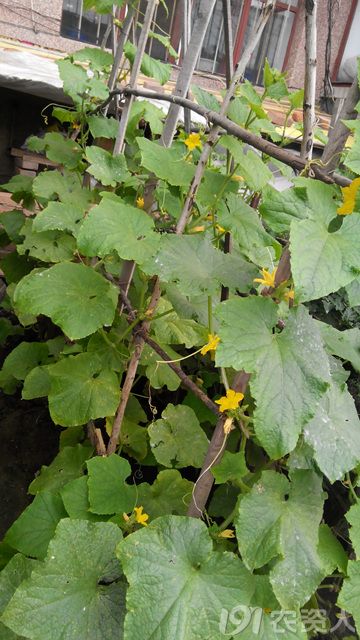 300_176170_cae5e3c833d7c42.jpg?165