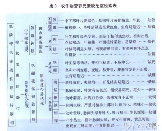 作物缺素症检索表