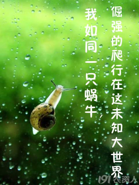 259_170260_73bda9c0b03e586.jpg?88