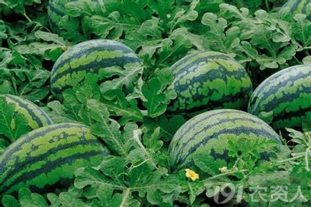 6_192818_88397220f1202f2.jpg?38