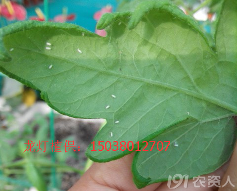 3_192489_49c072f08e55fb8.png?245