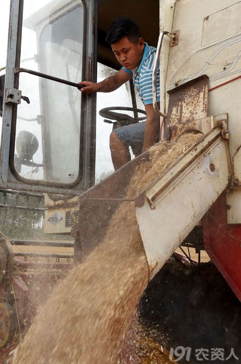 收入证明_麦客收入(2)