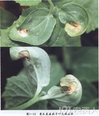 4_207770_53ac7a8b0db9bef.jpg?110