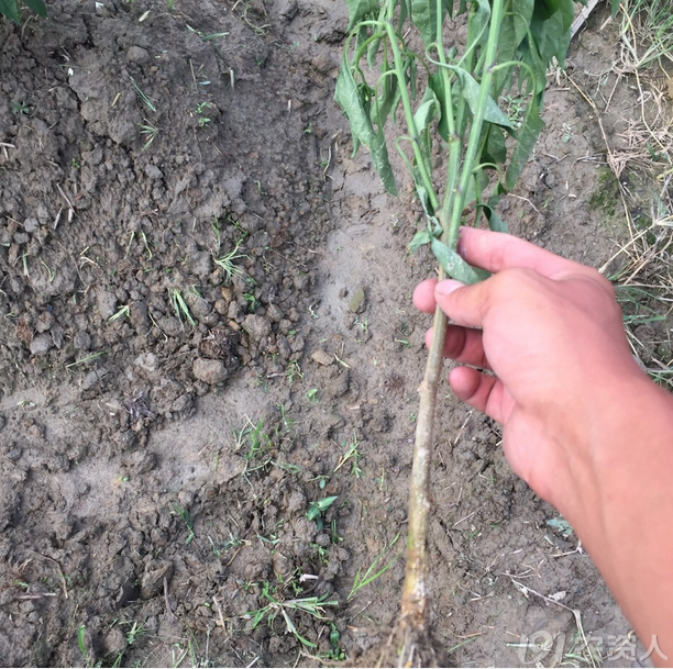3_140670_c5c92ddd8ab1008.png?796