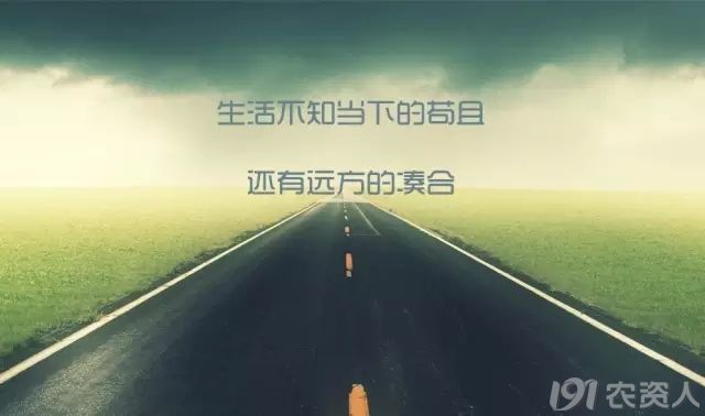 34_141003_b9e8f480c72db9f.jpg?104
