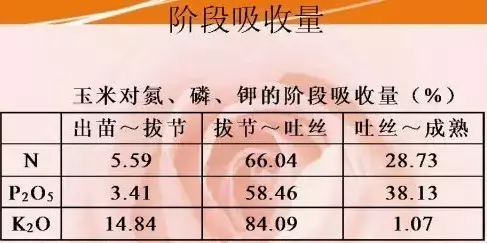 人均食盐使用量_食盐图片(3)
