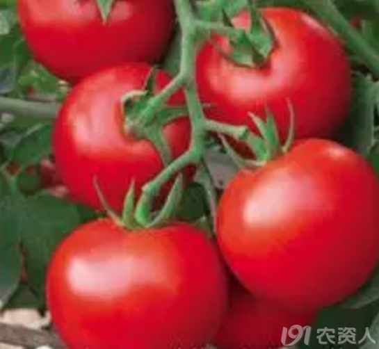 3_214712_34970cac859d34b.png?312