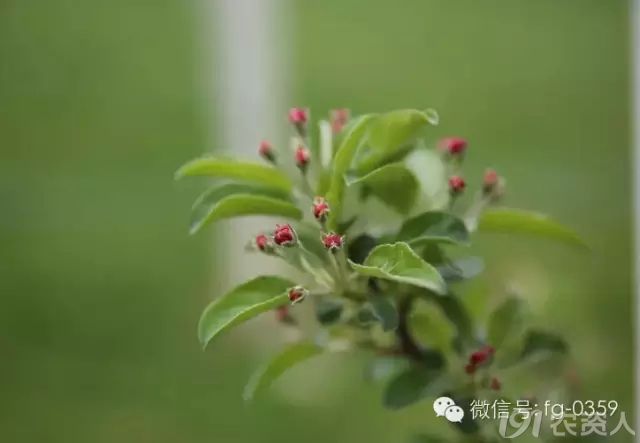 3_217876_d2baaea1e200d5c.jpg?87