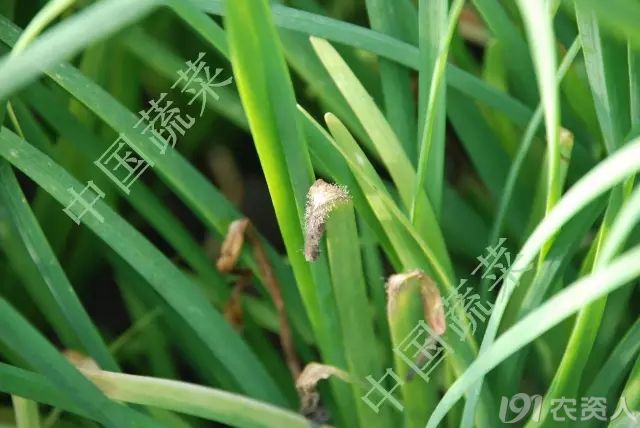 3_223997_d29133814881fbc.jpg?182