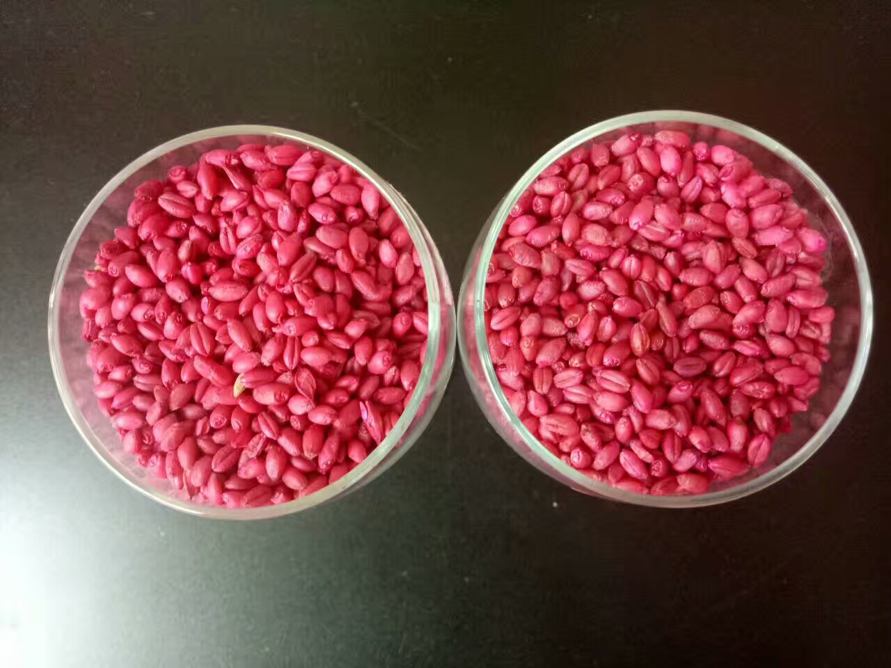 农药拌小麦的方法