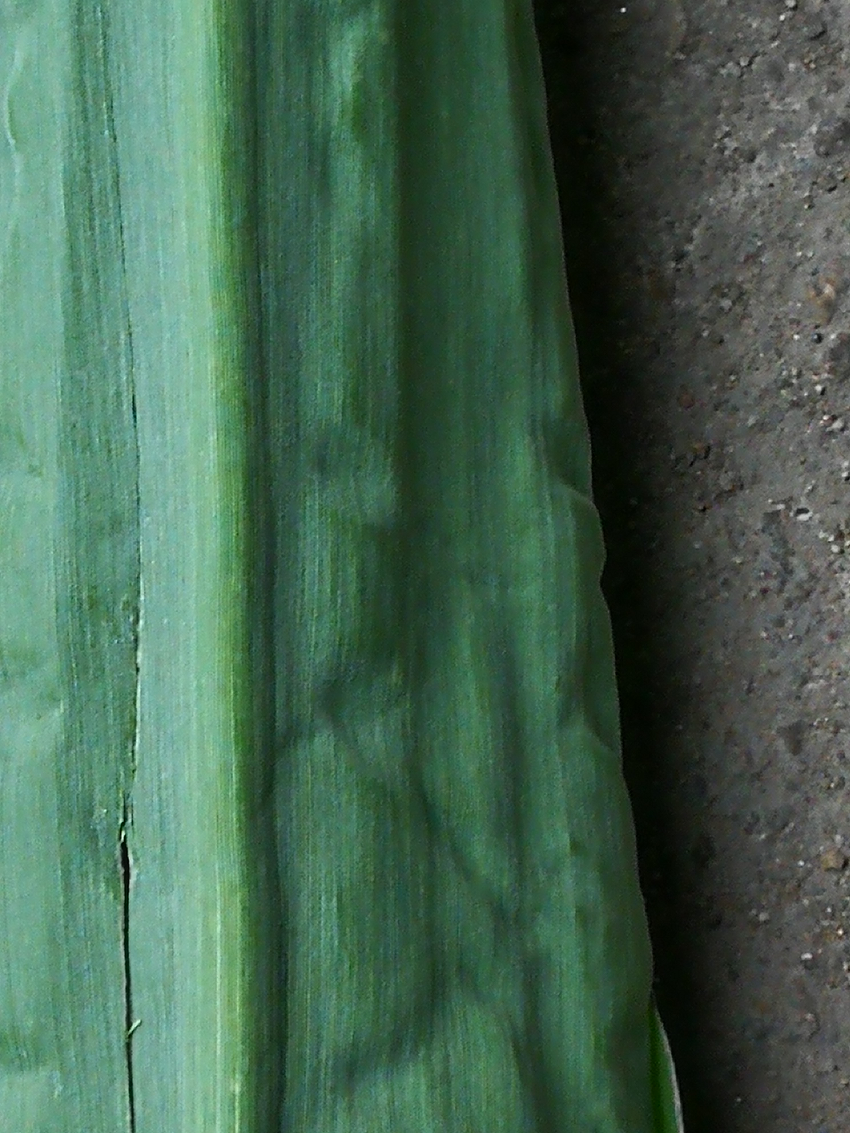 0_45810_f729b94a8cfc0f4.jpg