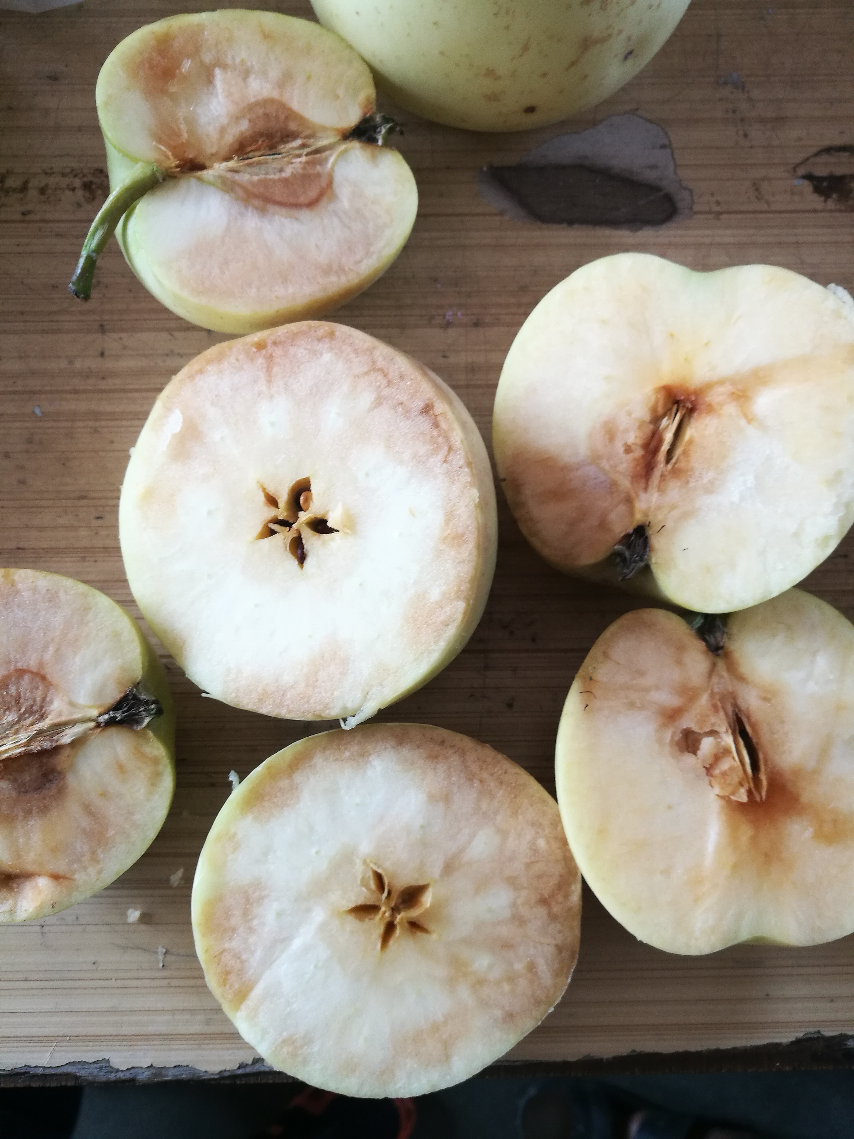 乔纳金苹果果肉发黑