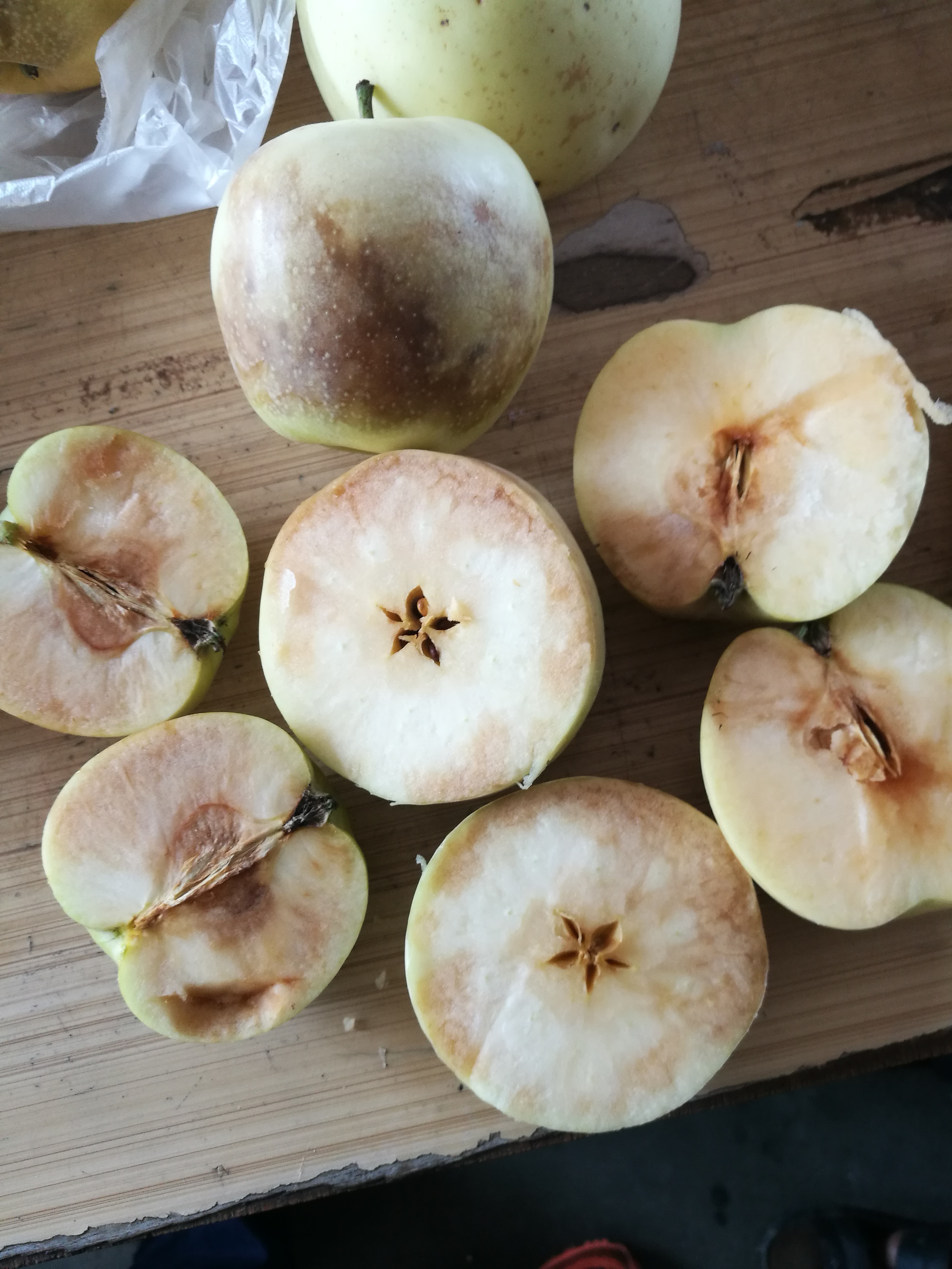 乔纳金苹果果肉发黑