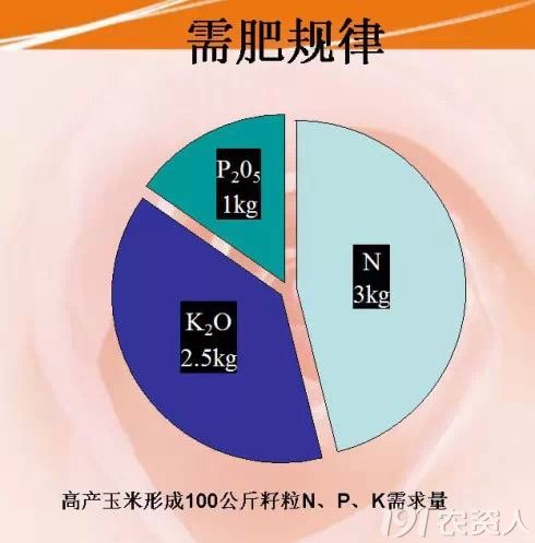 324_231264_0c4641413662f6b.jpg?40