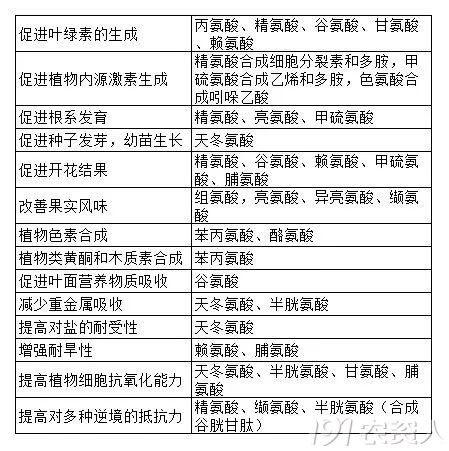 34_223993_9b98895524a449b.jpg?62