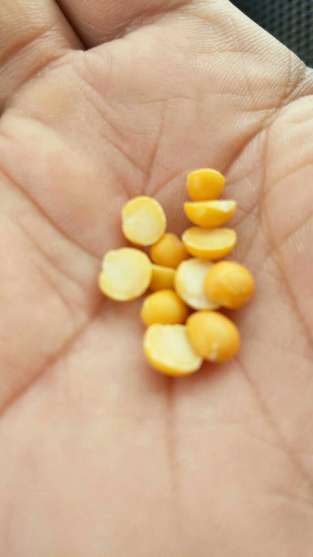 碗豆瓣、辣椒面、红高粱、大蒜