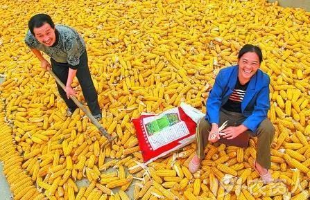 “中国农民丰收节”设立，你还在质疑的时候，别人看到的是无限商机
