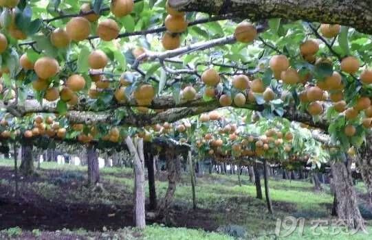 324_223997_f96cc57b37393fc.jpg?43