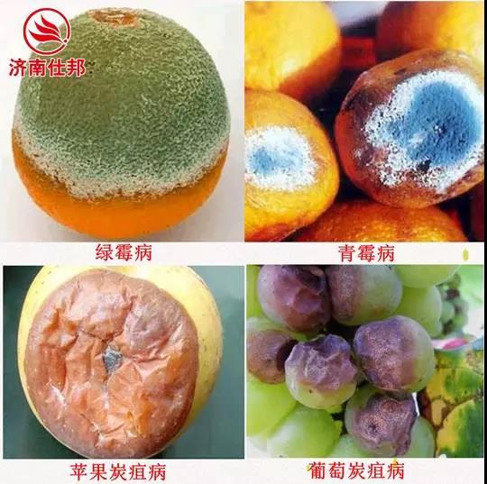 366_289897_b9567e338ab8a28.jpg?55