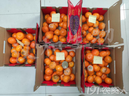 (浸泡/喷淋处理对沃柑室温贮存霉变率的影响)