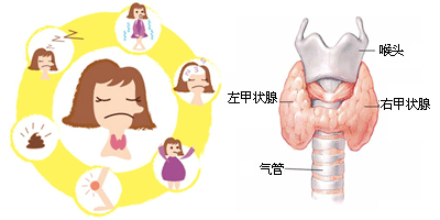 济南106甲状腺的个人主页