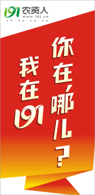 我在191 你在哪儿
