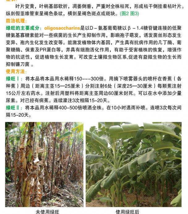 太牛了,连宣传图片上的对比都不行,还吹,如果行,就到海南来吧,我找几十亩或几百亩地给你去试 暂且不说你的药可以治疗,如果你的要可以使海南香蕉巴拿马的发病率控制在20%以下,那你们公司的农药开发人,就可以评院士了