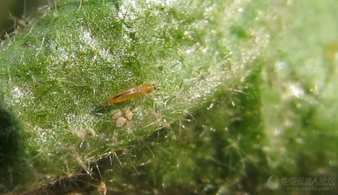 63_99638_7730ce04179e6ca.jpg?179