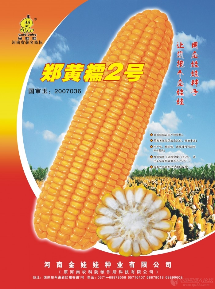 该品种2007年定通过国审,审定编号:国审玉2007036,2011年获得国家植物