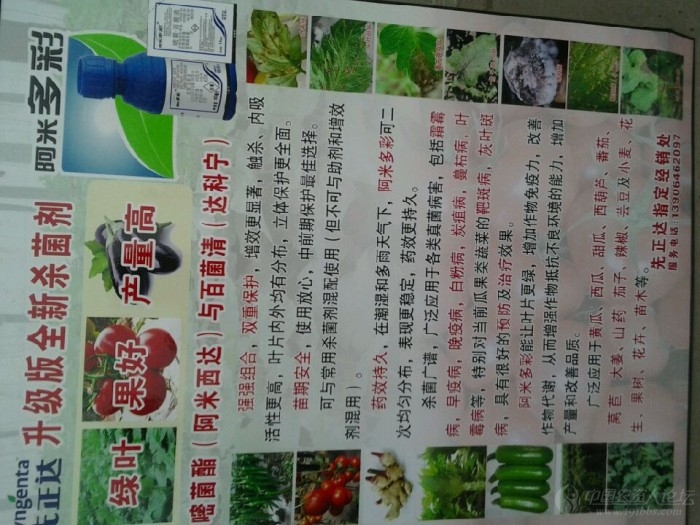 先正达升级版的杀菌剂—阿米多彩_农药应用_191农资人