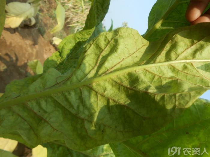 63_140670_9d3d0e7b07f3d1b.jpg?380