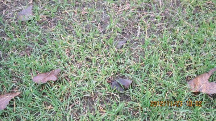 63_153490_8cf0d2a1110389e.jpg?756