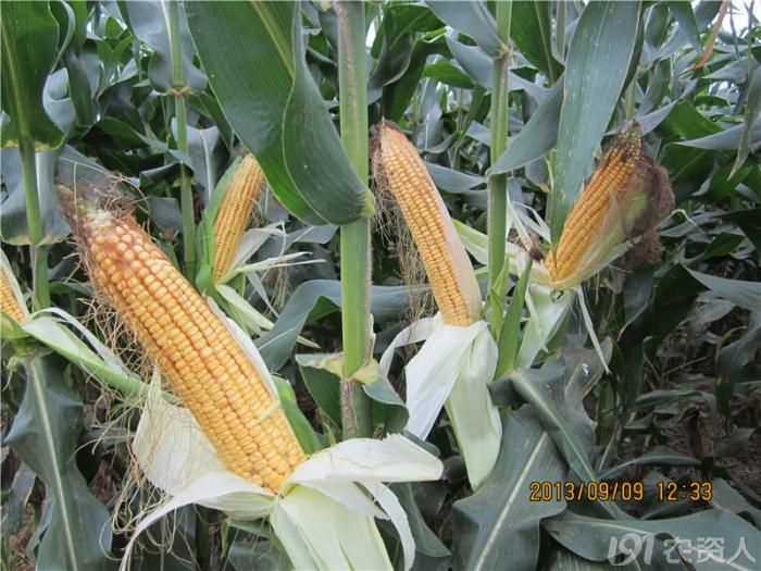 6_58266_eee686e5403beb1.jpg?233