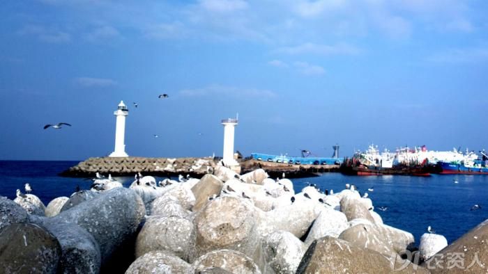 济州海鲜大餐_海鲜大餐图片_法国大餐(2)