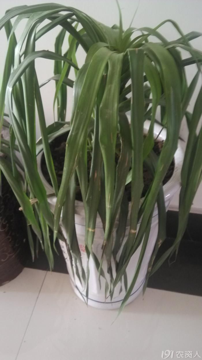 92_189083_fc25890b4755808.jpg?801