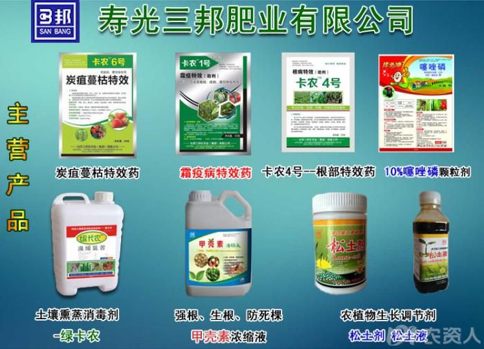 收入证明_农民收入的增加(2)