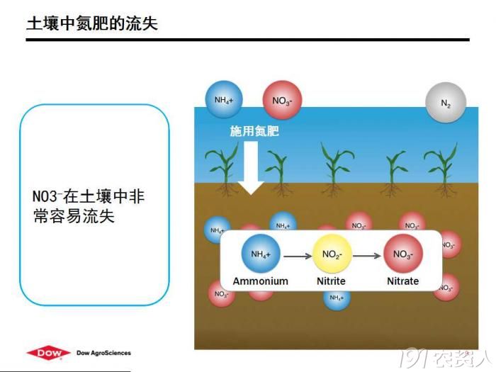 陶文琦:硝化抑制剂的市场机遇和国内外应用进展