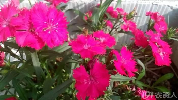 300_95439_7cad19c0c9504a9.jpg?65
