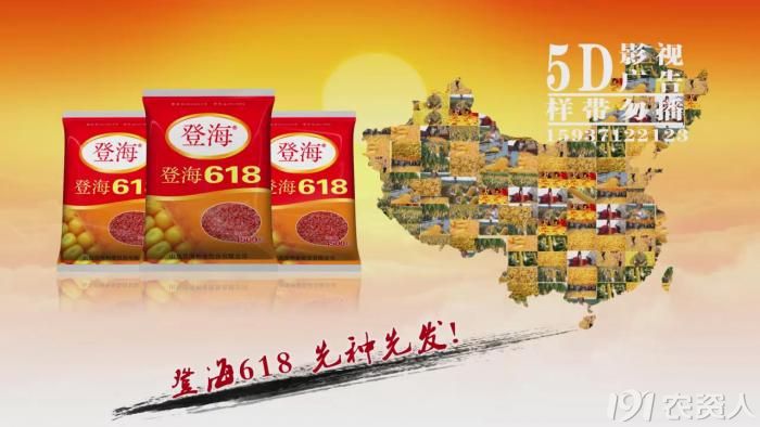 看看今年的登海618