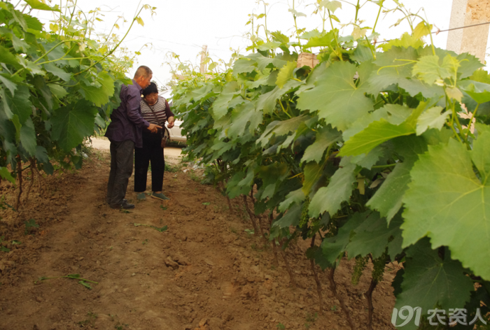 3_140670_b9265ebbc4abd7f.png?860