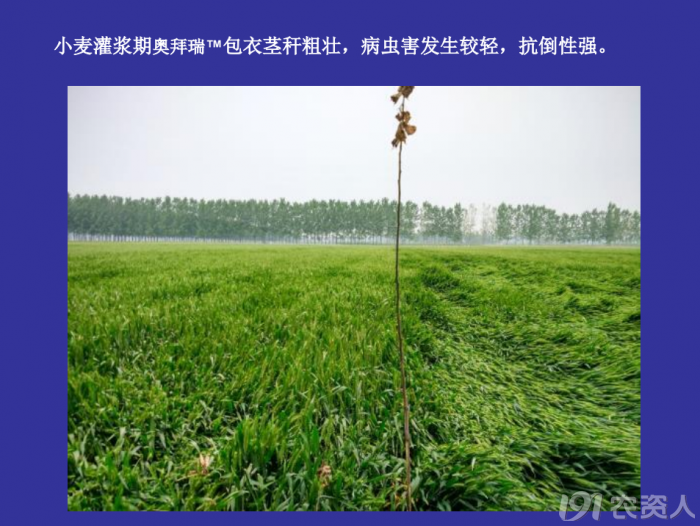 277_95471_f6a447971991b68.png?667