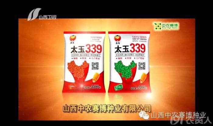 超高产玉米品种太玉339的成功营销案例