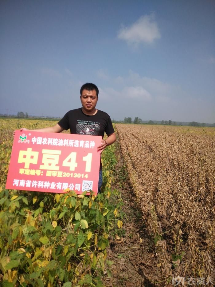 许科大豆中豆41沿海稻麦区域给您报喜
