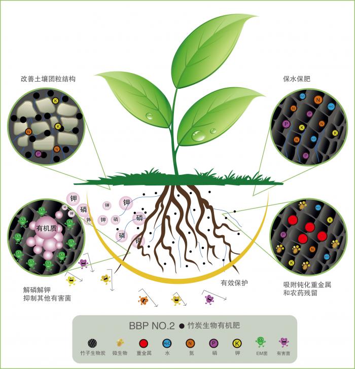 通过微生物转化,固氮,解磷,解钾,释放土壤养分 吸附和钝化土壤重金属