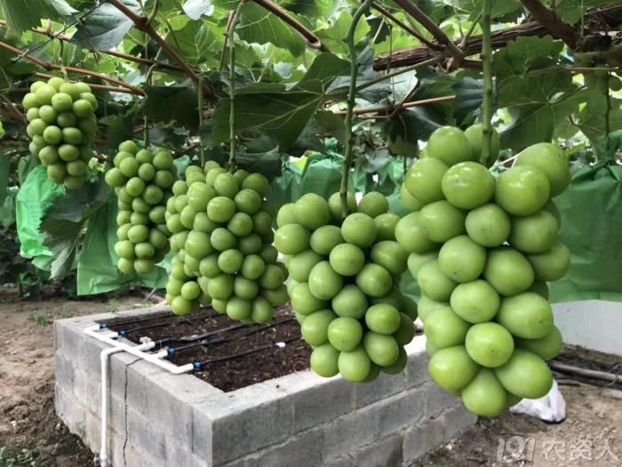 90_209633_269e03266ab568b.jpg?738