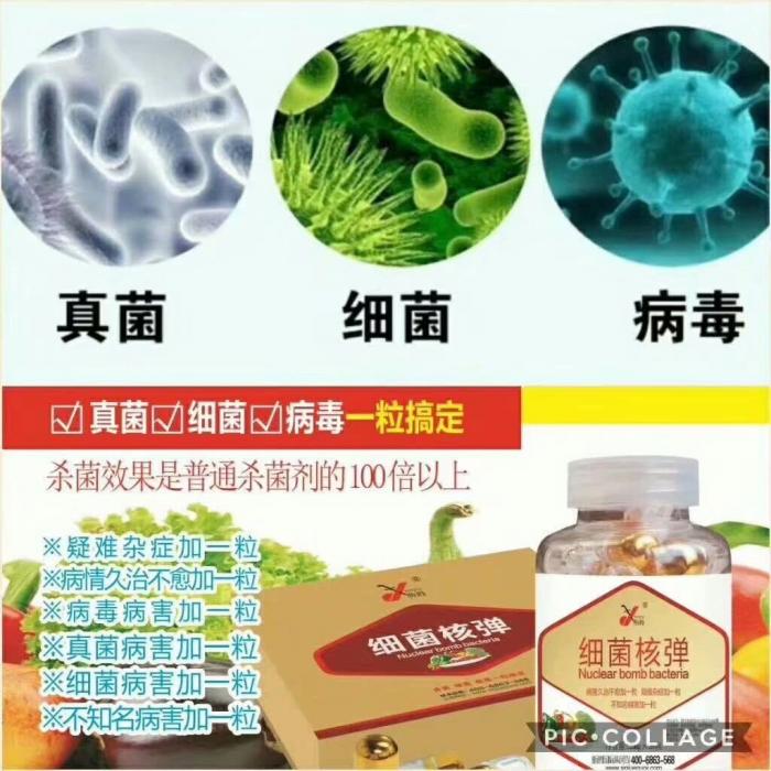 农作物真菌细菌病毒怎样预防和治疗细菌核弹细菌真菌病毒对农作物的