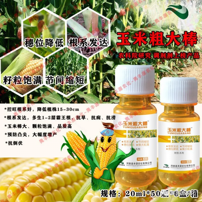 玉米-粗大棒:玉米棒大,粒饱,品质高,预 防秃尖,大幅增加产量.