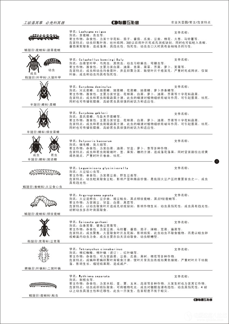 最全的农业昆虫矢量图 病虫草图 191农资人 农技社区服务平台 触屏版