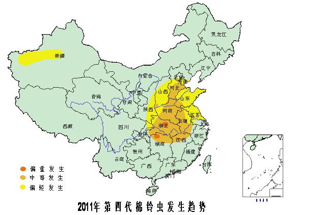 第四代棉鈴蟲預報